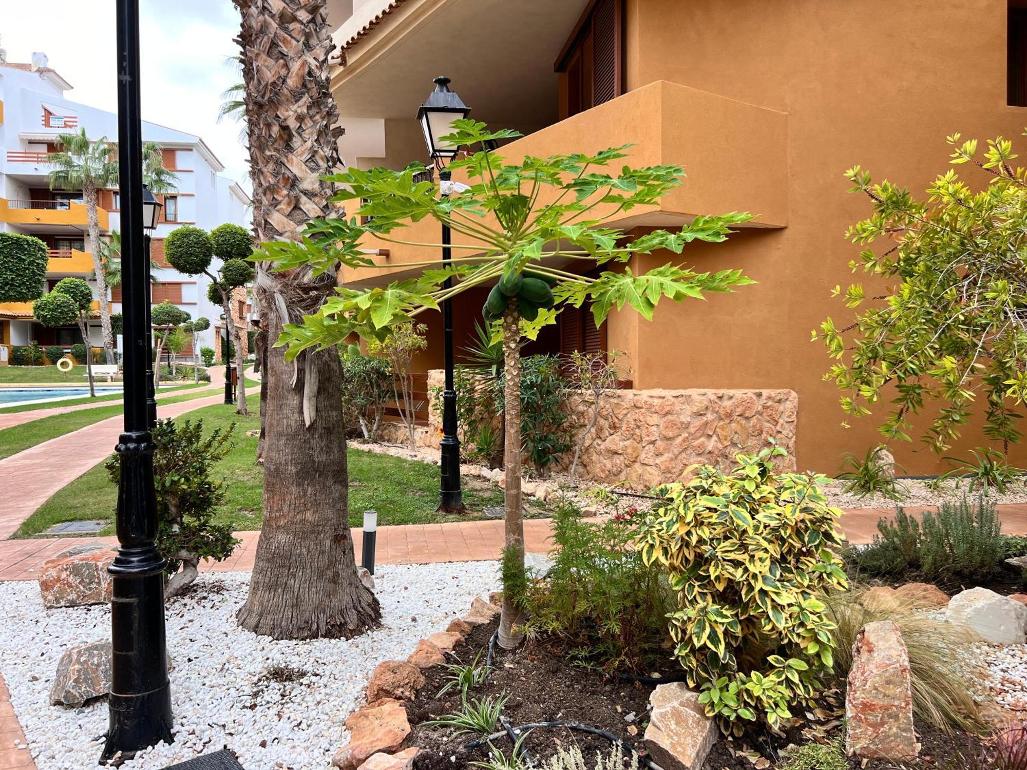 Punta Prima - Sun & Beach & Golf & Bike - Spanish South-Facing Terrace Apartment - La Recoleta - By The Sea Torrevieja Ngoại thất bức ảnh